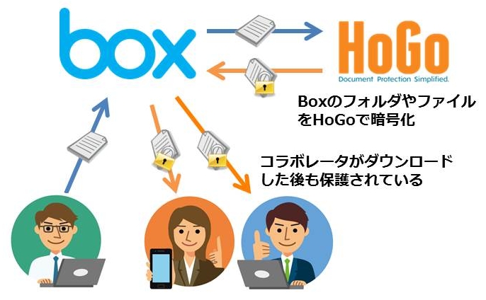 HoGo Solutions for Box 0318-2